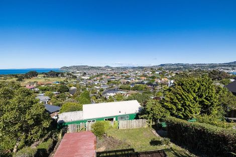 Photo of property in 30 Minto Street, Andersons Bay, Dunedin, 9013