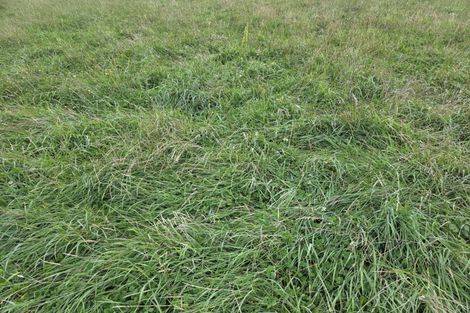 Photo of property in 16 Northbrook Road, Rangiora, 7400