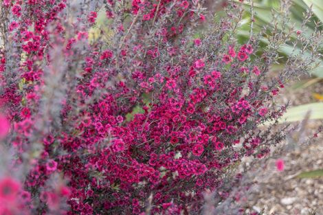 Photo of property in 463 Fordyce Road, Helensville, 0874