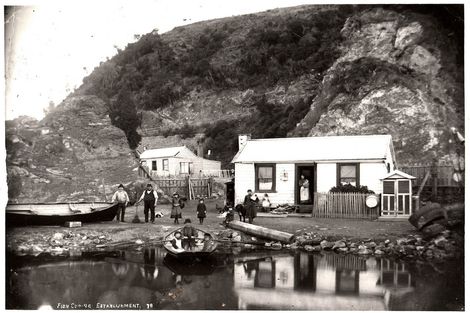 Photo of property in 5 Macandrew Road, Careys Bay, Port Chalmers, 9023