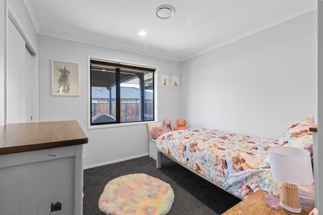 Photo of property in 17 Macdonald Heights, Feilding, 4702