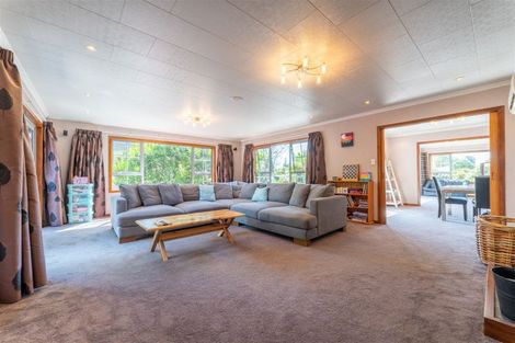 Photo of property in 78 Peel Street, Geraldine, 7930