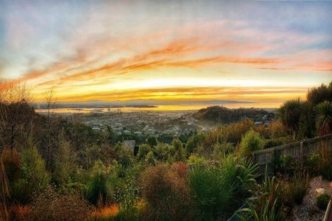 Photo of property in 31 Citrus Lane, Enner Glynn, Nelson, 7011