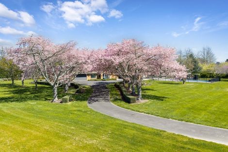 Photo of property in 13 Meadowgreen Drive, Tamahere, Hamilton, 3283