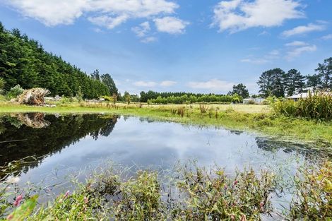 Photo of property in 190 Bush Road, Oxford, 7495