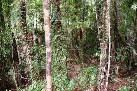 Photo of property in 70 Sunset Heights Road, Karamea, 7893