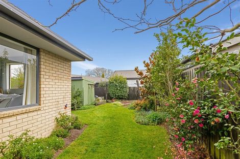 Photo of property in 51b Lagan Street, Belfast, Christchurch, 8051