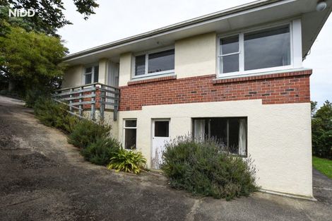 Photo of property in 222 Kenmure Road, Kenmure, Dunedin, 9011