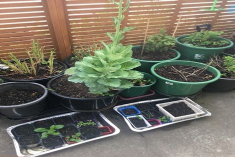 Photo of property in 3/39b Middleton Road, Upper Riccarton, Christchurch, 8041