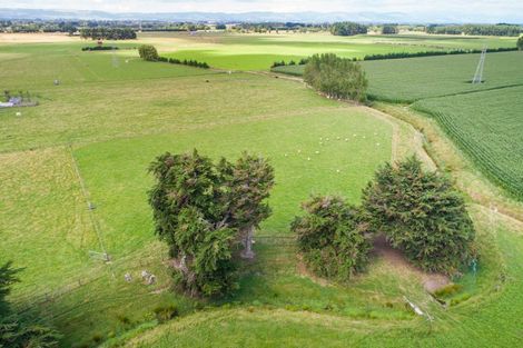 Photo of property in 226 Waughs Road, Bunnythorpe, Feilding, 4775