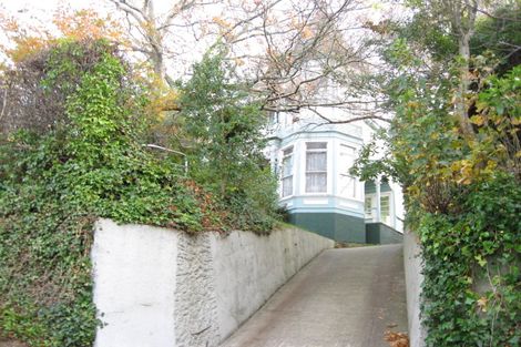 Photo of property in 29 Tweed Street, Roslyn, Dunedin, 9010