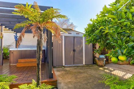 Photo of property in 6 Parkes Avenue, Saint Johns Hill, Whanganui, 4501