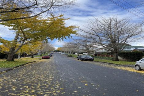 Photo of property in 17b Beckenham Avenue, Royal Oak, Auckland, 1023