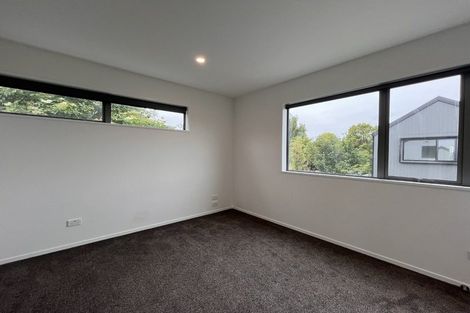 Photo of property in 120a Nursery Road, Phillipstown, Christchurch, 8011