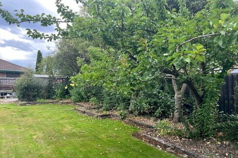 Photo of property in 15 Bunting Place, Woodend, 7610