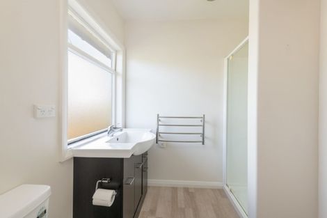 Photo of property in 19 Elizabeth Street, Richmond, 7020