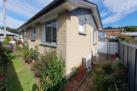 Photo of property in 17b Ruskin Terrace, Caversham, Dunedin, 9012