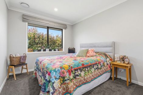 Photo of property in 62 Paparamu Road, Piarere, Tirau, 3484