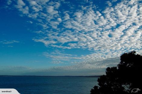 Photo of property in 11f Joan Street, Point Chevalier, Auckland, 1022