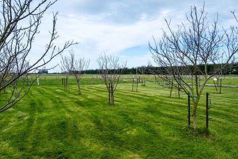 Photo of property in 513 Grahams Road, Huntingdon, Ashburton, 7774