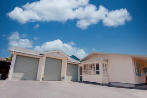 Photo of property in 30 Napier Road, Terrace End, Palmerston North, 4410