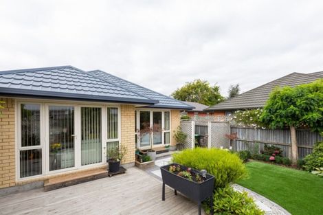 Photo of property in 85a Halswell Road, Hillmorton, Christchurch, 8025