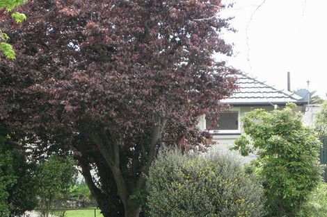 Photo of property in 79 Dunedin Street, Redwood, Christchurch, 8051