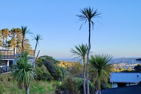 Photo of property in 135 Orangi Kaupapa Road, Northland, Wellington, 6012
