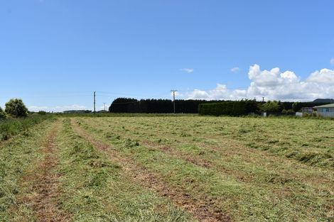 Photo of property in 69 Waikawa Beach Road, Manakau, 5573