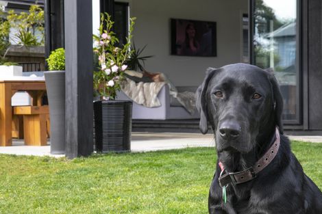 Photo of property in 75 Kaipara Portage Road, Riverhead, 0820