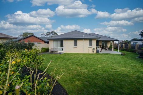 Photo of property in 1230a Howard Street, Parkvale, Hastings, 4122