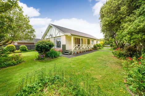 Photo of property in 175 Amberley Avenue, Highbury, Palmerston North, 4412
