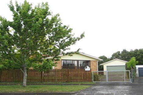 Photo of property in 9 Thames Place, Pukekohe, 2120