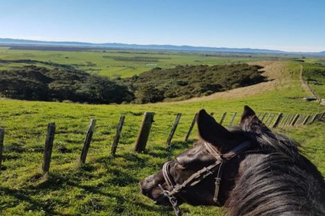 Photo of property in 149b Torehape Road, Kaihere, Ngatea, 3597