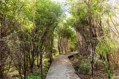 Photo of property in 141 Garbolino Road, Mangawhai, 0573