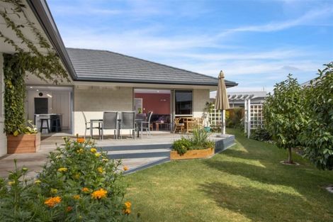 Photo of property in 14 Nolan Place, Katikati, 3129