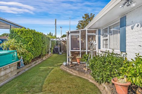 Photo of property in 71 Studholme Street, Morrinsville, 3300