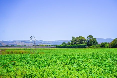 Photo of property in 375 Matawai Road, Waerengaahika, Gisborne, 4071