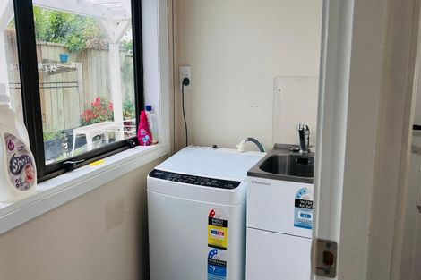 Photo of property in 25a Kenwyn Terrace, Newtown, Wellington, 6021