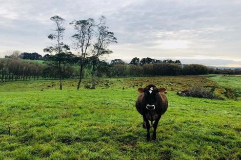 Photo of property in 24 Bordeaux Place, Te Kauwhata, 3782