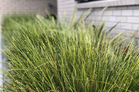 Photo of property in 26a Blunt Road, Te Kauwhata, 3710