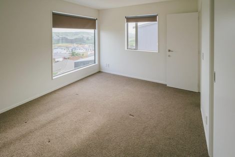 Photo of property in 57 Woodridge Drive, Woodridge, Wellington, 6037