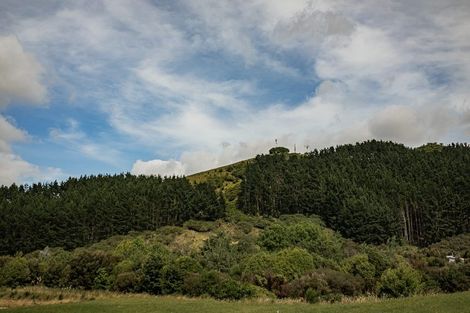 Photo of property in 8 Karamu Place, Waihi, 3682