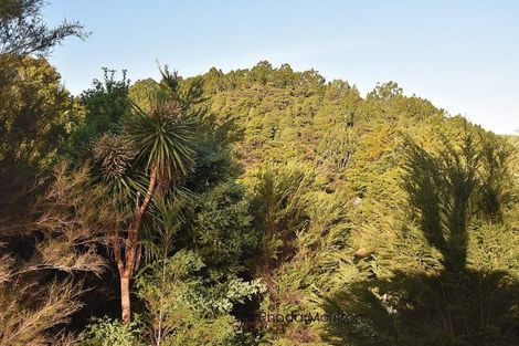 Photo of property in 43 Pahi Road, Paparoa, 0571