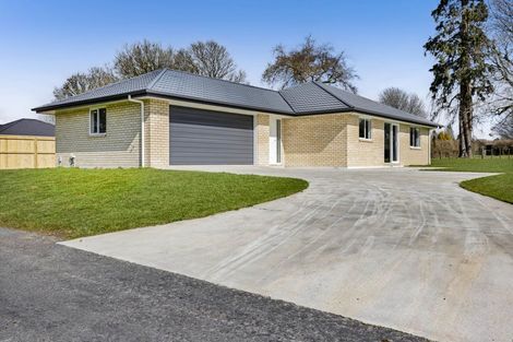 Photo of property in 207c Regan Street, Stratford, 4332