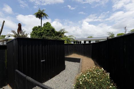 Photo of property in 19a Maire Street, Inglewood, 4330