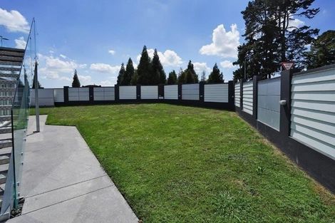 Photo of property in 163 Lake Crescent, Hamilton Lake, Hamilton, 3204