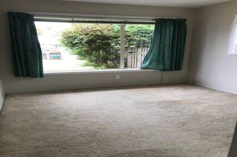 Photo of property in 25 Greenhurst Street, Sockburn, Christchurch, 8042