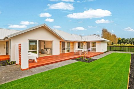 Photo of property in 5 Mills Road, Marshland, Christchurch, 8051