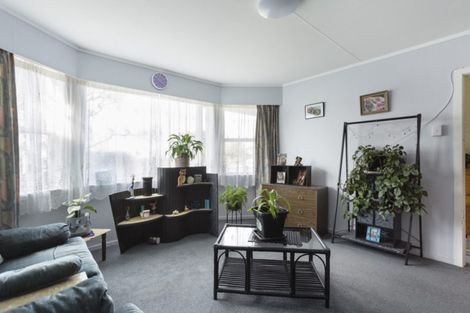 Photo of property in 428 Hillside Road, South Dunedin, Dunedin, 9012